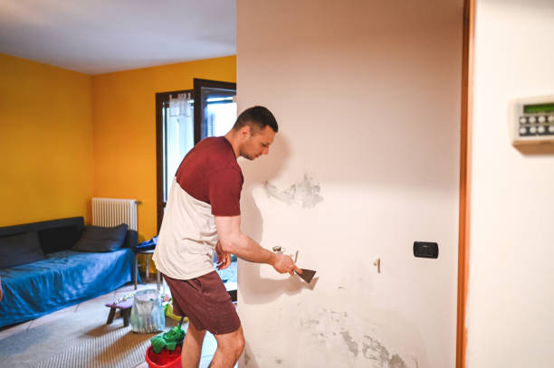 Best Post-Flood Mold Remediation in Maryville, MO